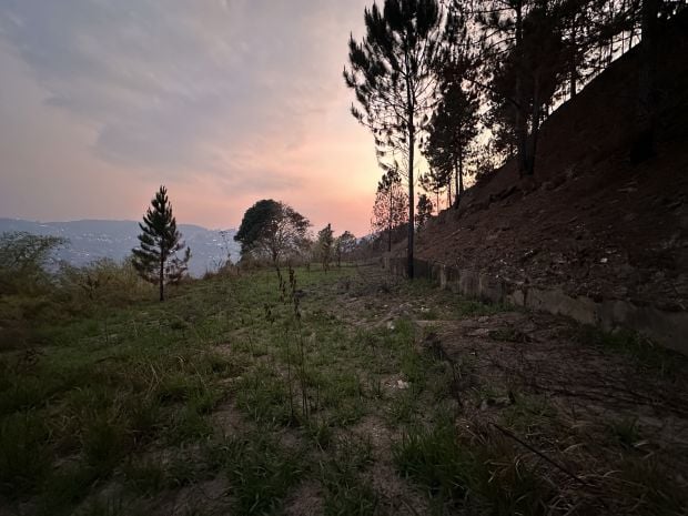 Terreno en venta en Monte Elena, Baruta
